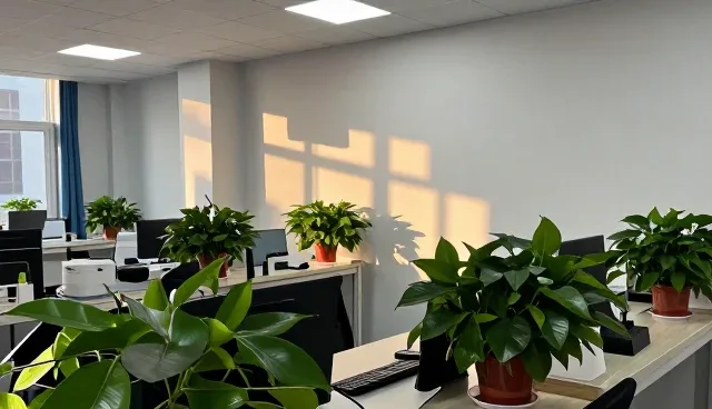 技术咨询常见误区及性能优化处理方向